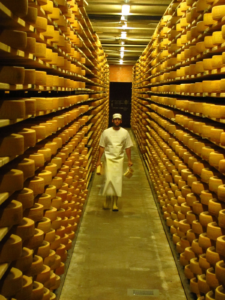 Swiss cheese factory