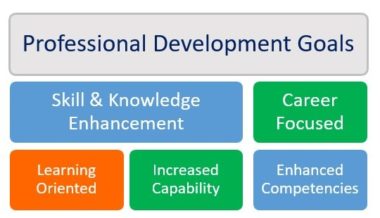 Professional Development Goals graphic 