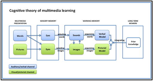 Chart: Cognitive theory of multimedia learning